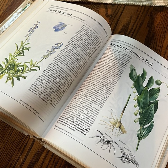 The illustrated book of herbs, their medicinal and culinary uses hard cover - Picture 7 of 14